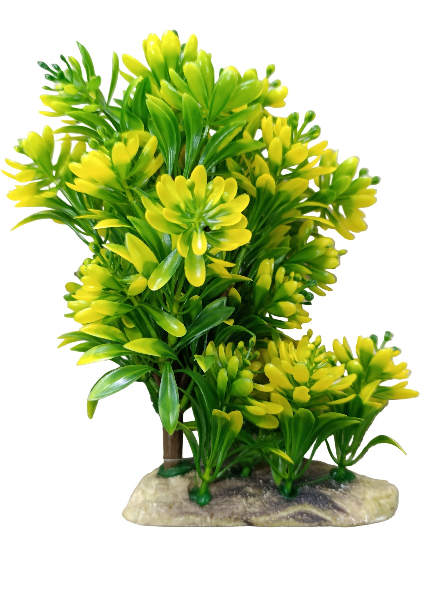 029 Aquarium plant