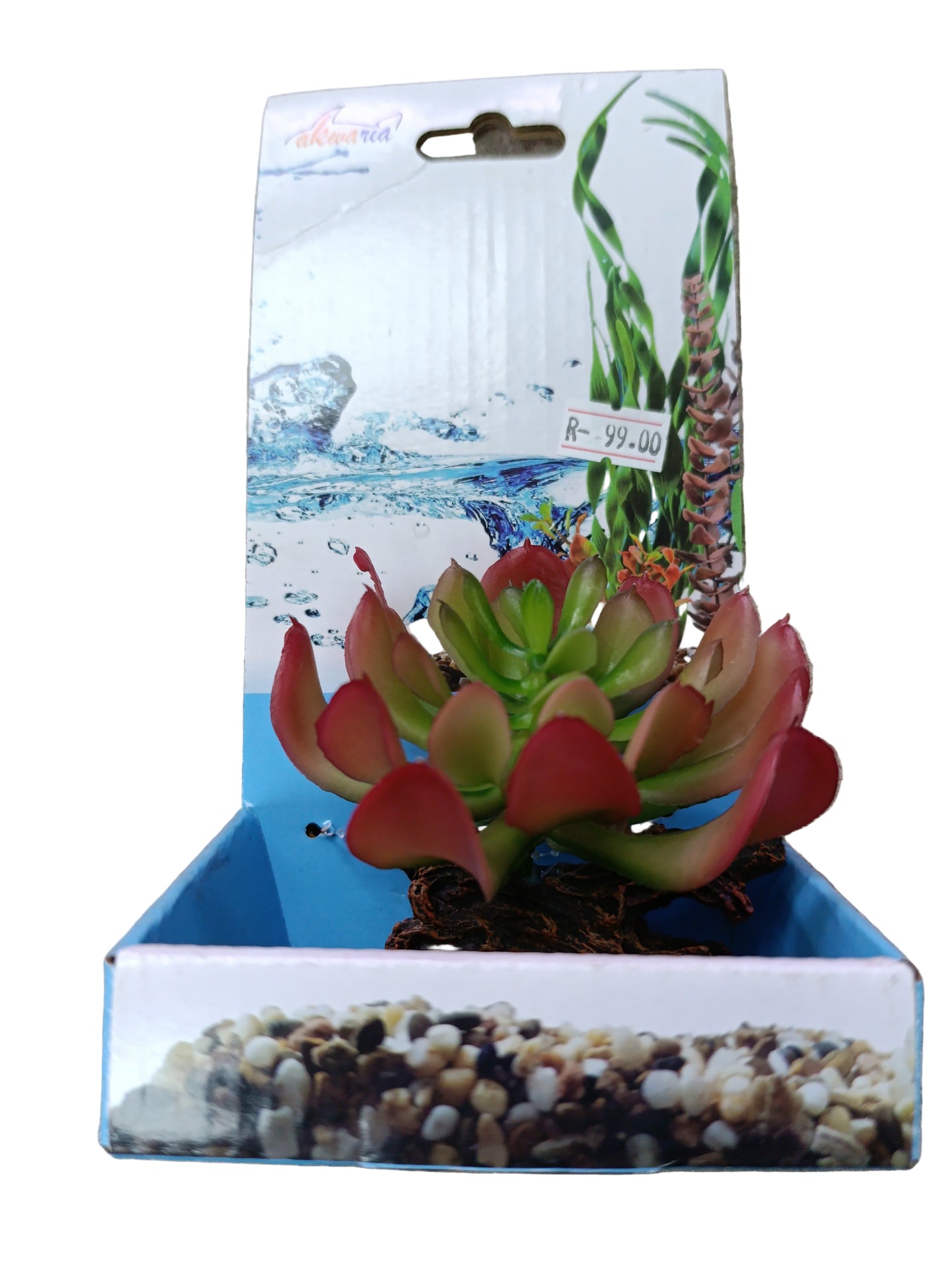 Akwa plant ornament