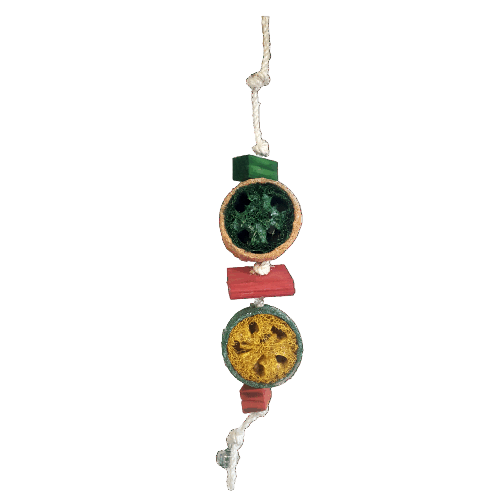 Akwa bird toy BT3001