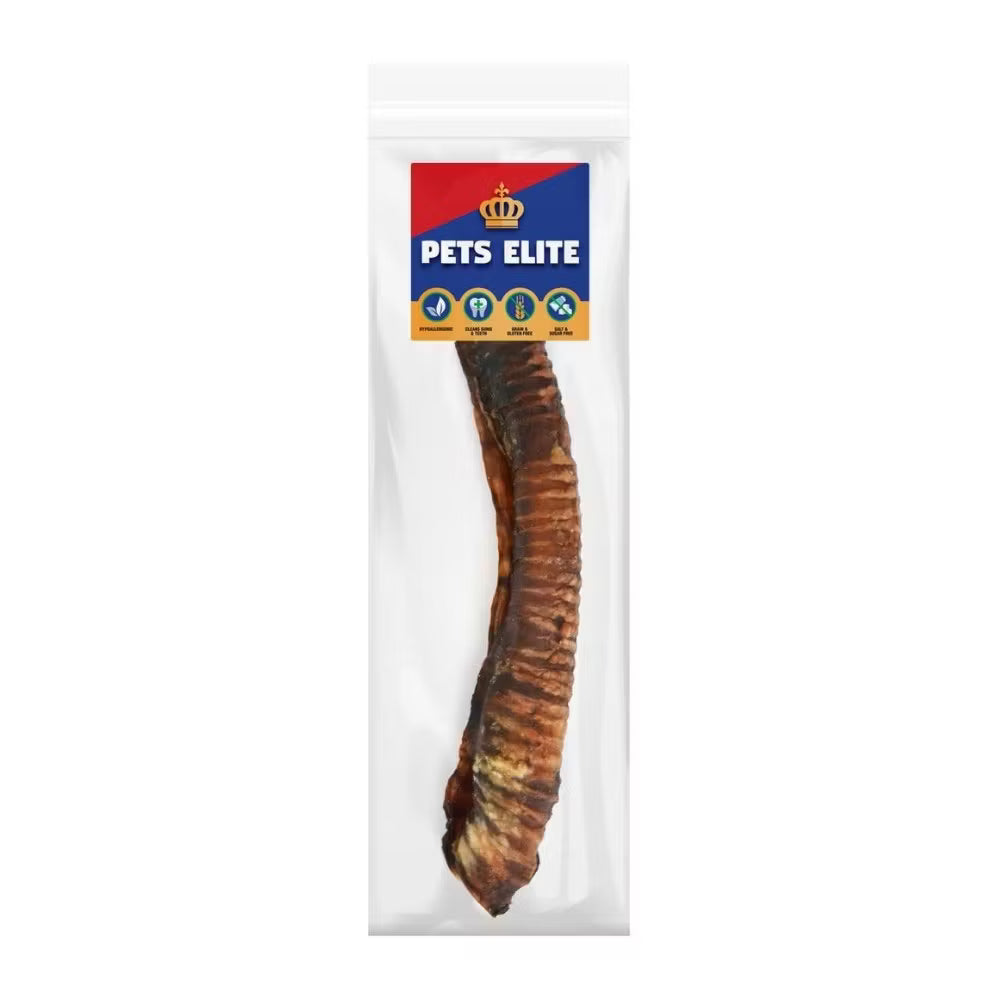 Pets elite denta track