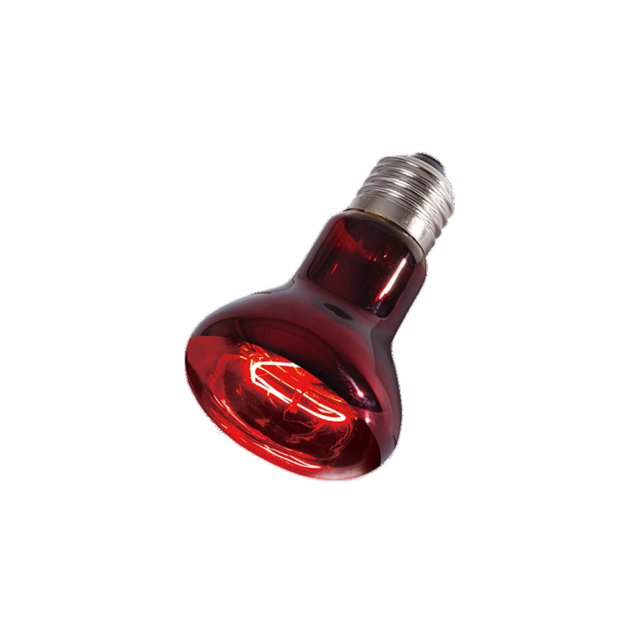 Akwa reptizoo 35W infrared light