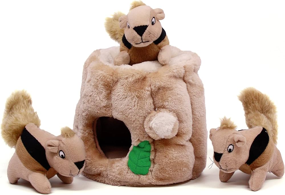 Toy Hide-a-Squirrel-Med Outward Hound