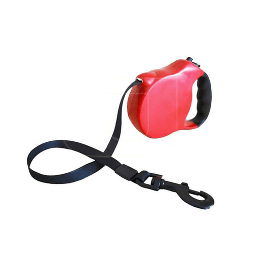 Pawise retractable leash L