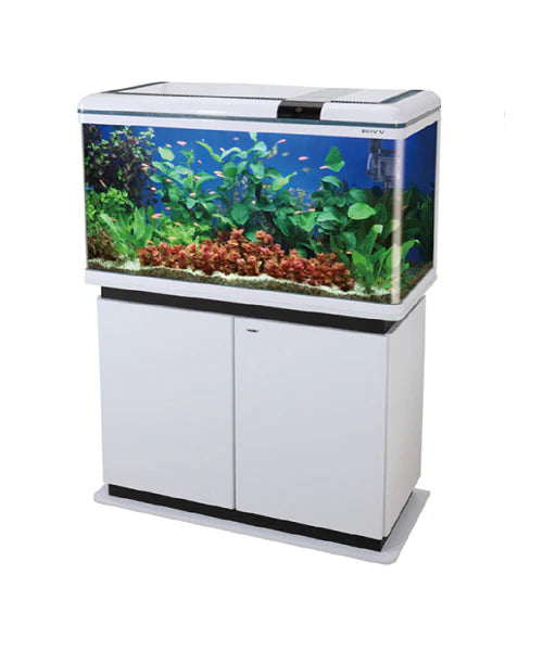 Boyu ec600 white with cabinet