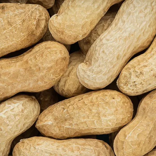 un-shelled peanuts 1kg