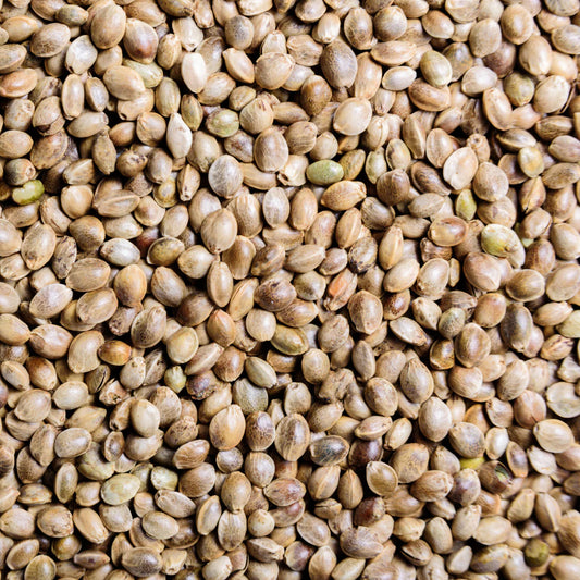 hemp seed 5kg
