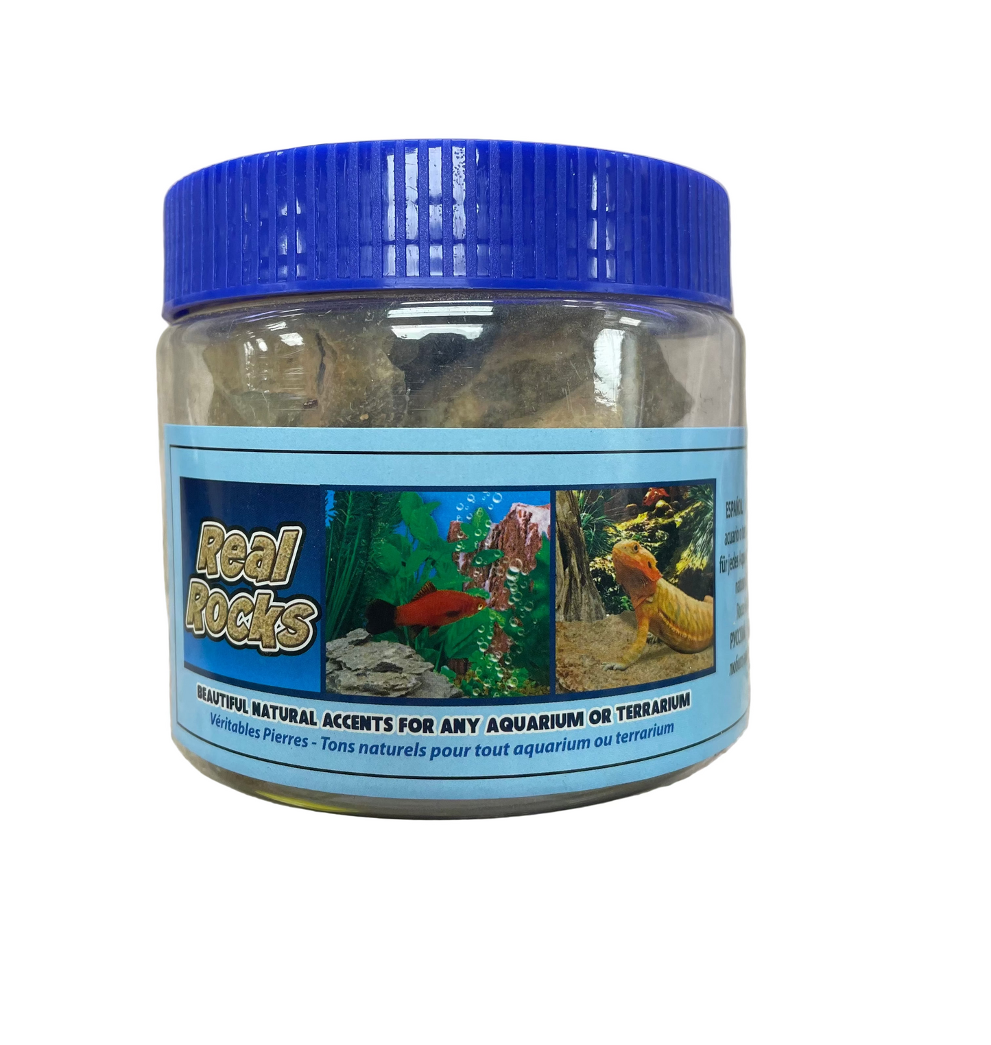 Dragon rock in a bottle