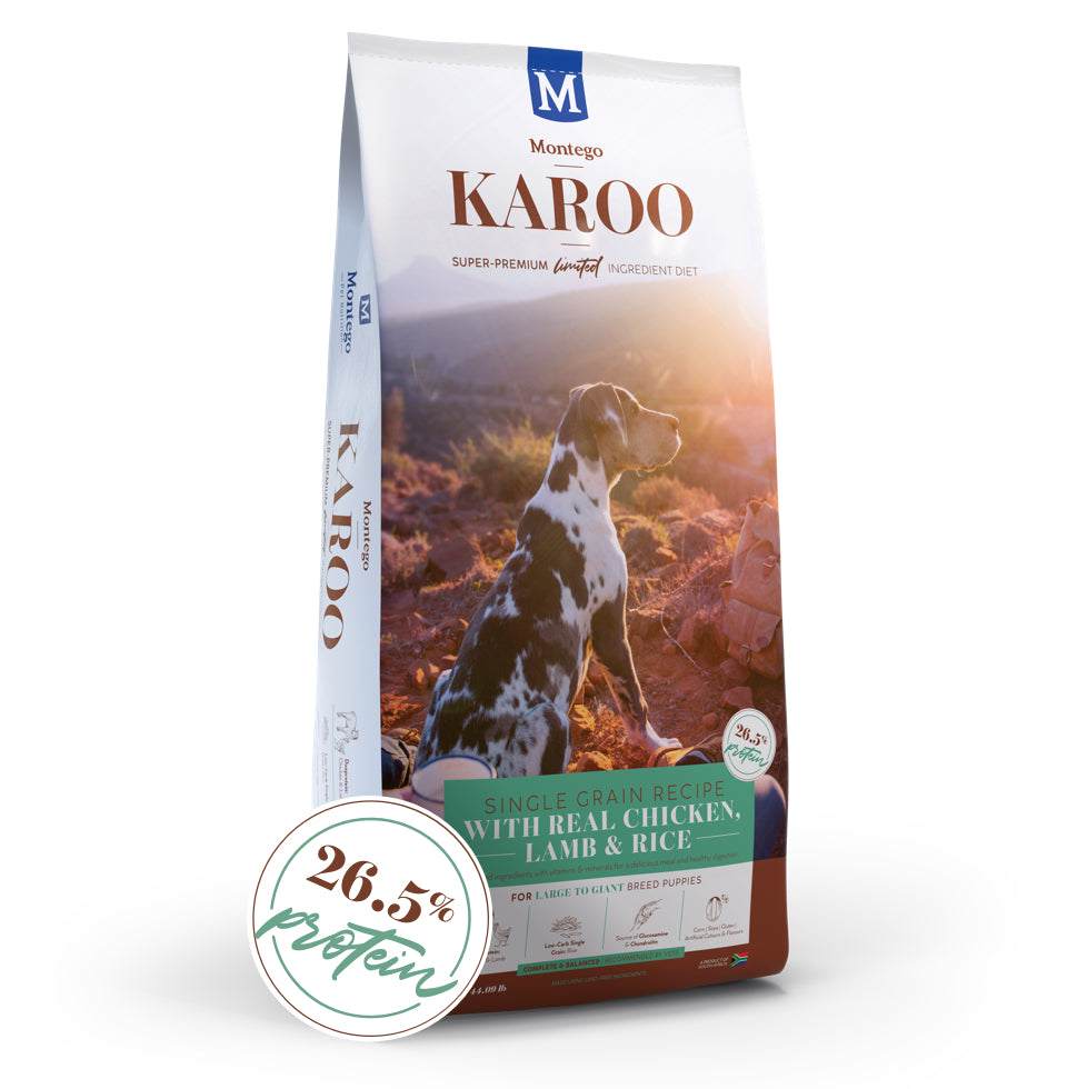 Montego Karoo Large Puppy Food 15kg