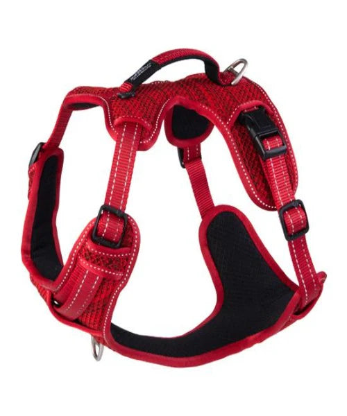 Rogz explore harness red L