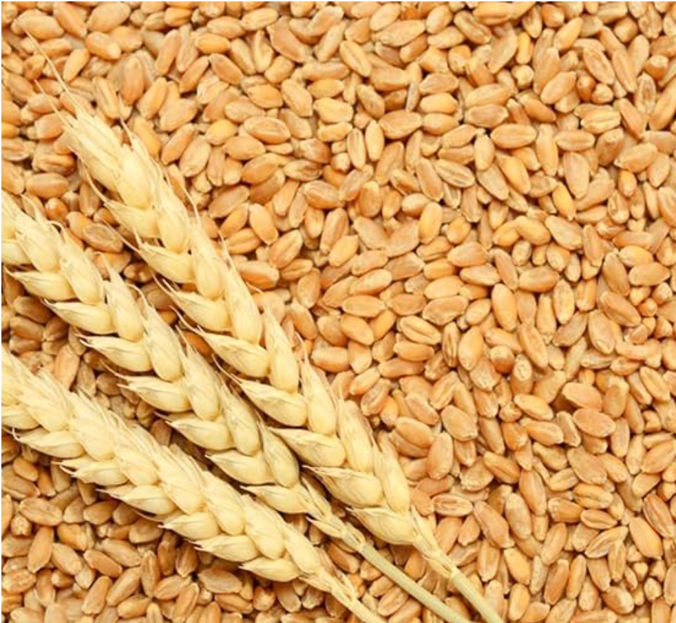 wheat 2kg