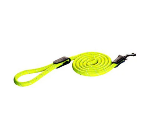 Rogz Classic Lead Rope Dayglo L