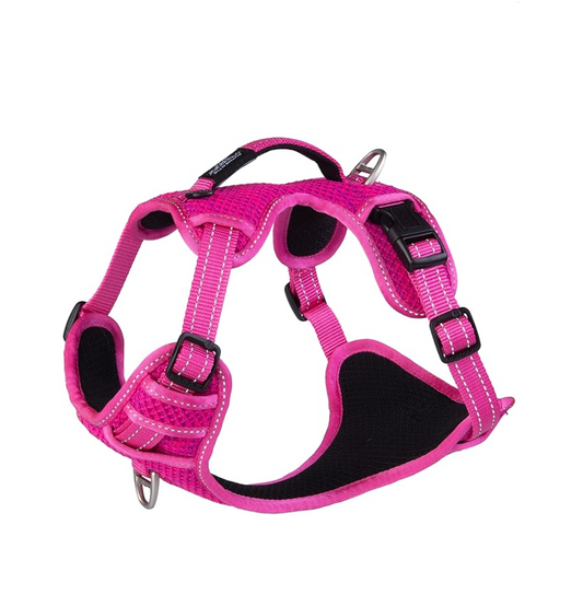 Rogz Explore harness pink Small