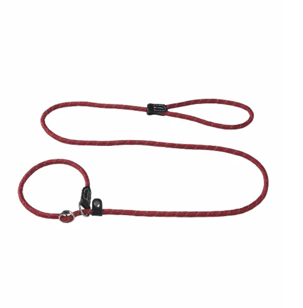 Rogz quick fit collar/ lead Blue L