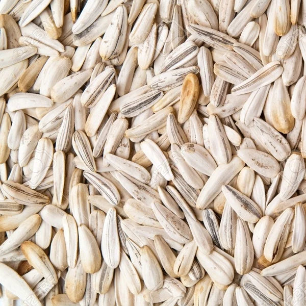 White sunflower 2kg