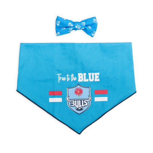 Dogs life Bow tie and bandana set blue bulls m