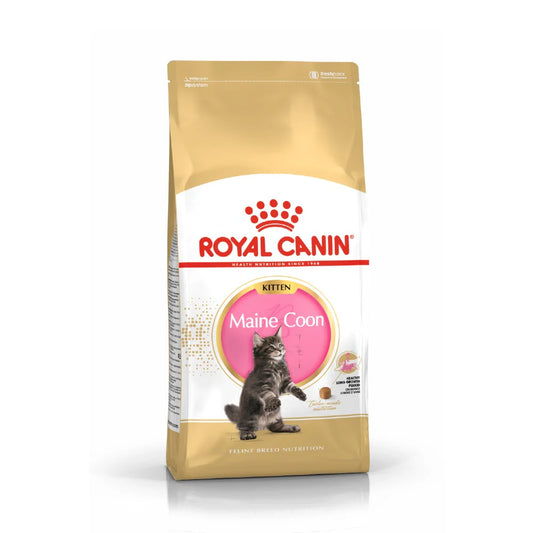 Royal Canin Maine Coon Kitten 4 kg