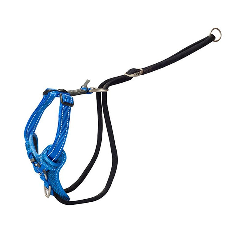 Rogz stop pull harness blue M