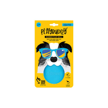 Playbuddy ball