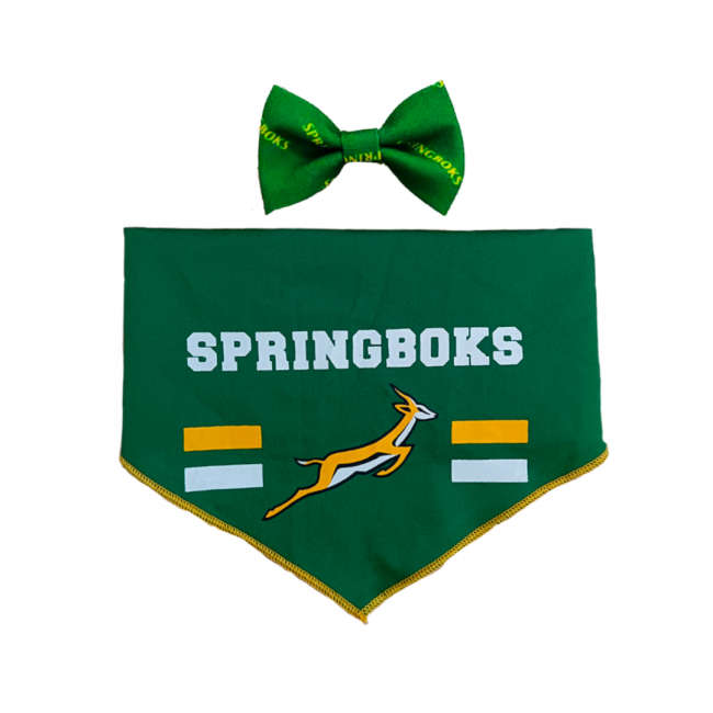 Dogs life Bow tie and bandana set springboks m